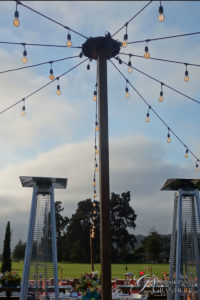 Market Lights
