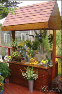 Market Stands 29"x60"x102"H