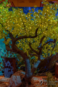 Ginkgo Tree 168"x168"x132"H