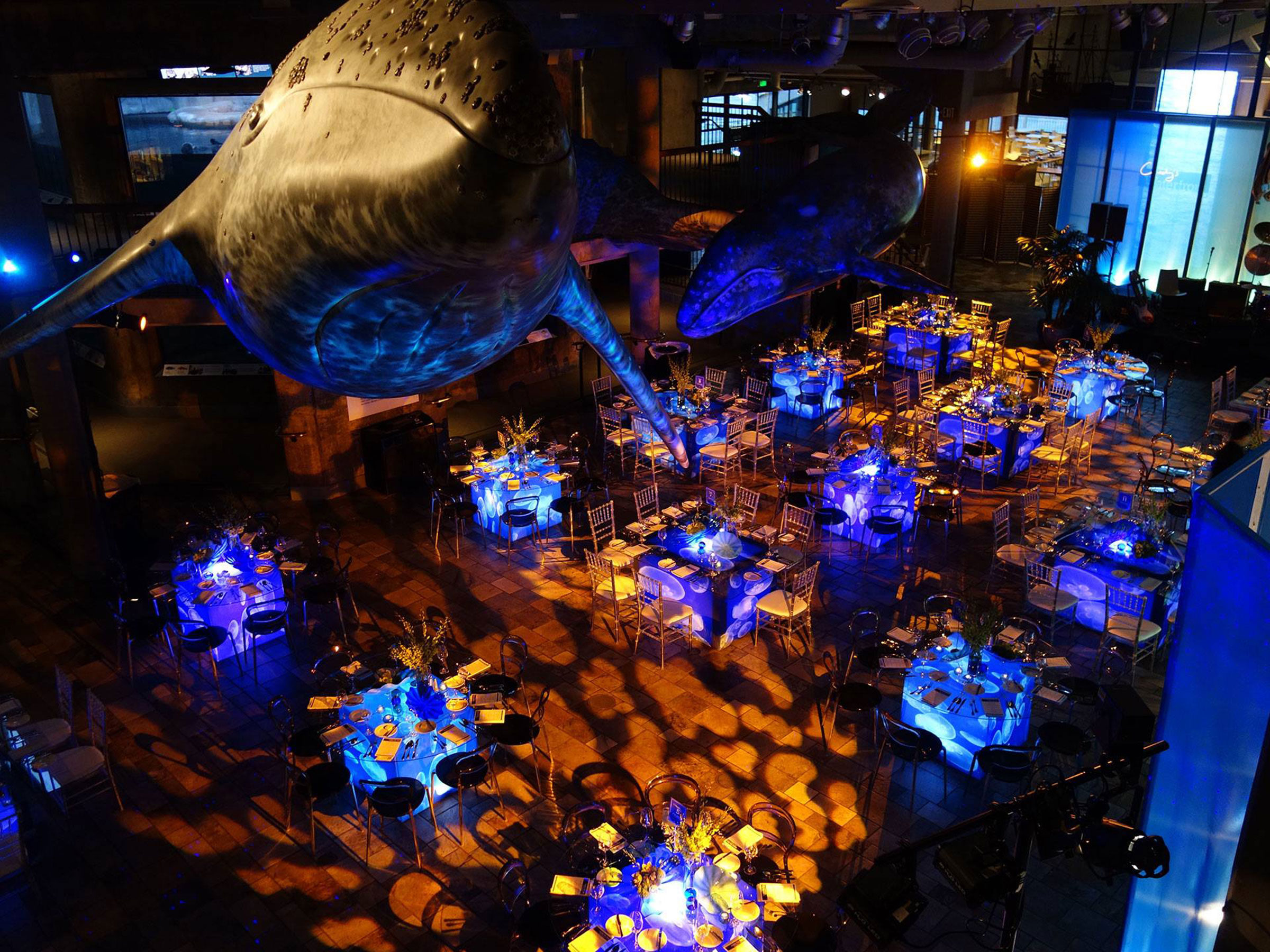 Monterey Bay Aquarium