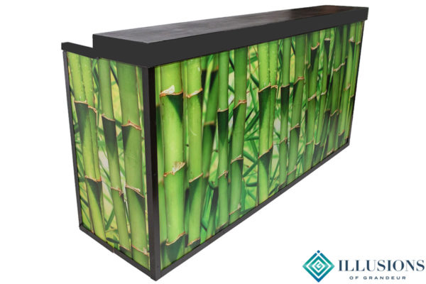 Illuminated Bamboo Bar