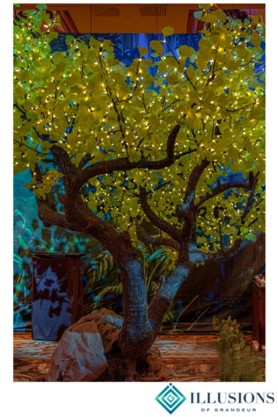 Illuminated Ginkgo Trees large