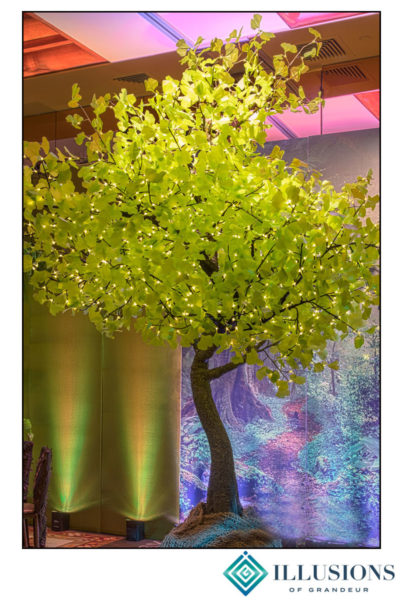 Illuminated Ginkgo Trees small