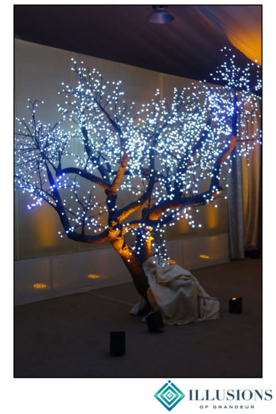 Illuminated Large LED Trees