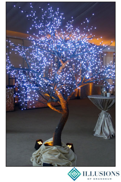Illuminated LED Trees