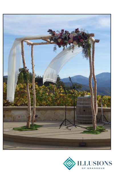 Wedding Birch Arch