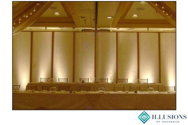 Wedding Screens Behind Head Table