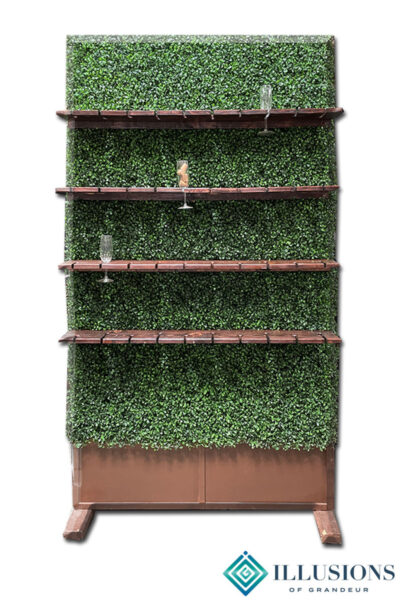 Boxwood Champagne Wall
