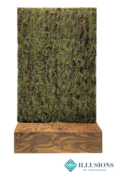 Free Standing Green Walls